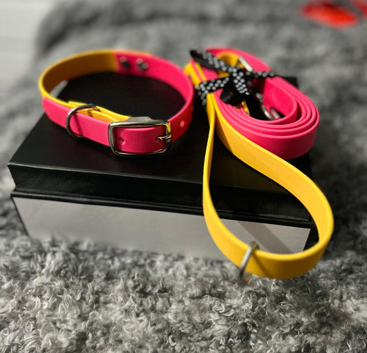 Dog lead and collar set - pink and yellow