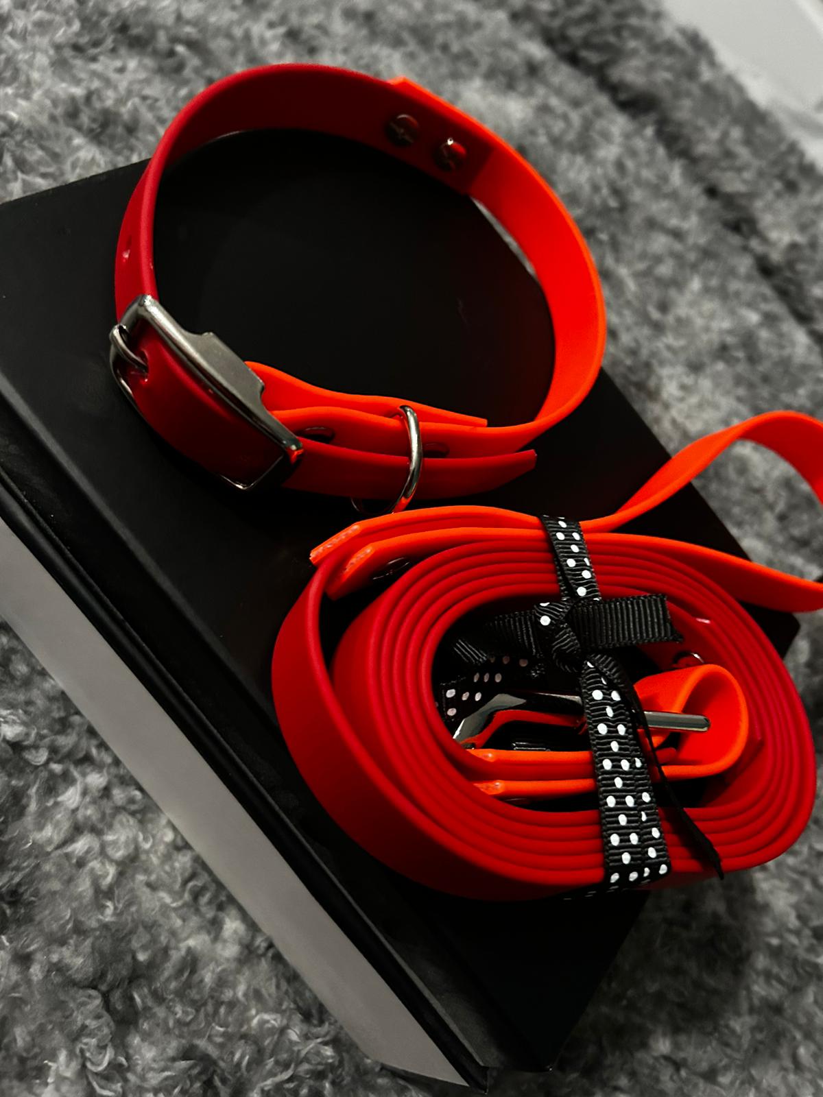 Dog lead and collar set - red